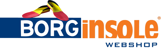 BORGinsole